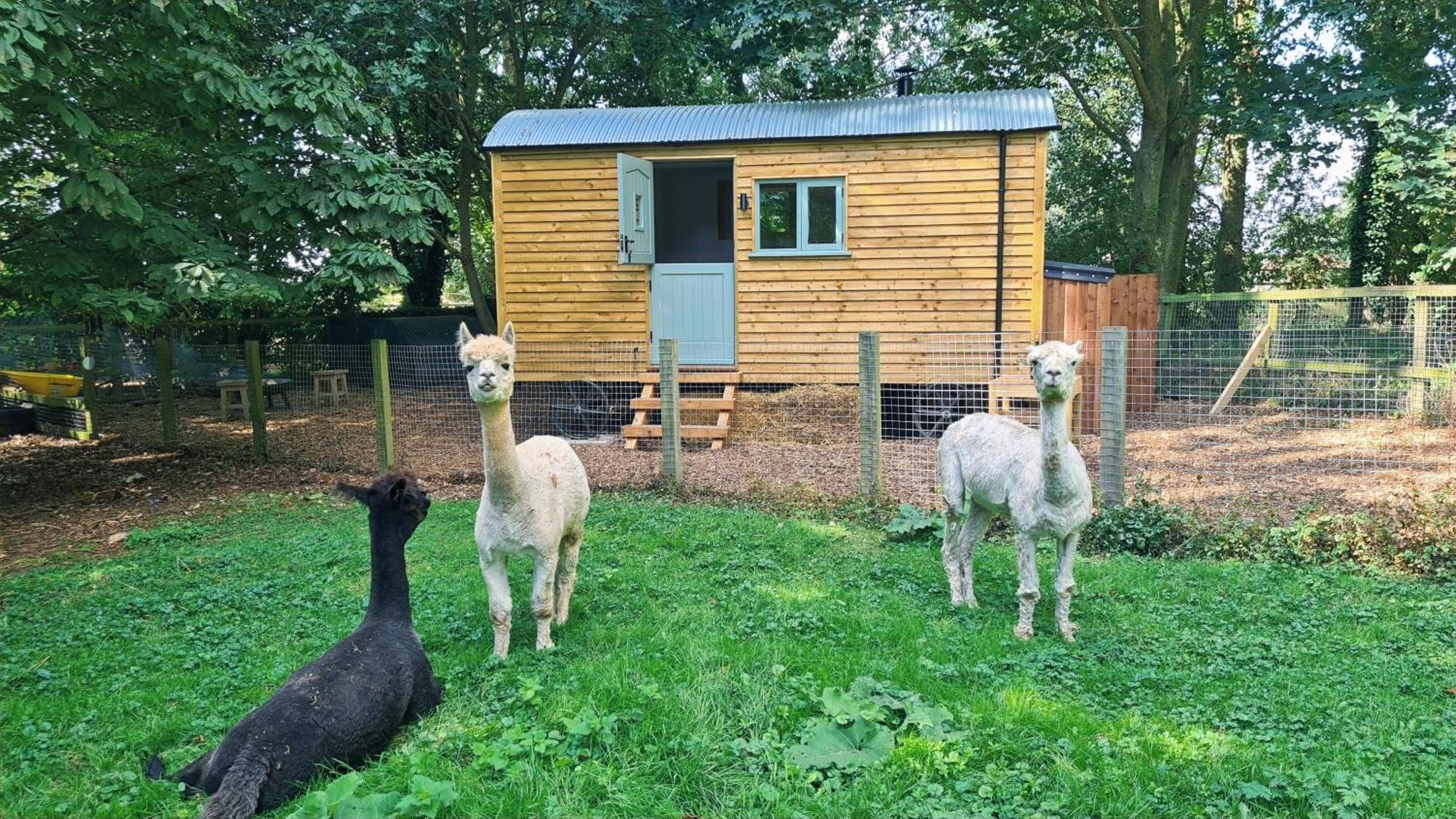 Horsley Hale Farm Glamping Hotel Ели Екстериор снимка